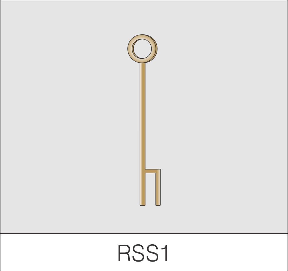 RSS1 1 Ring (670mm)